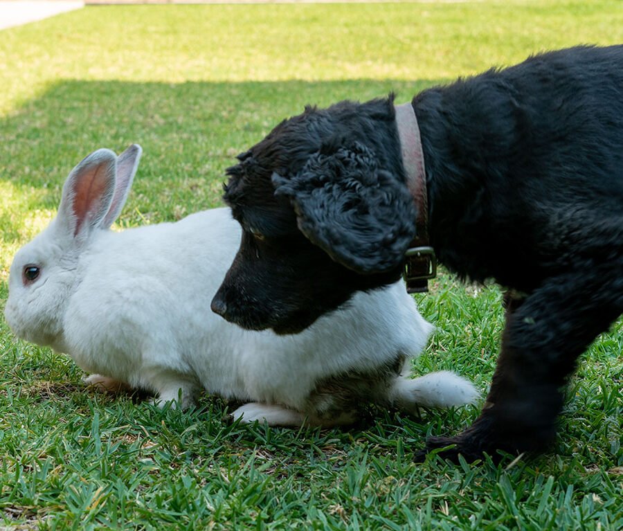 Sarah y Lola